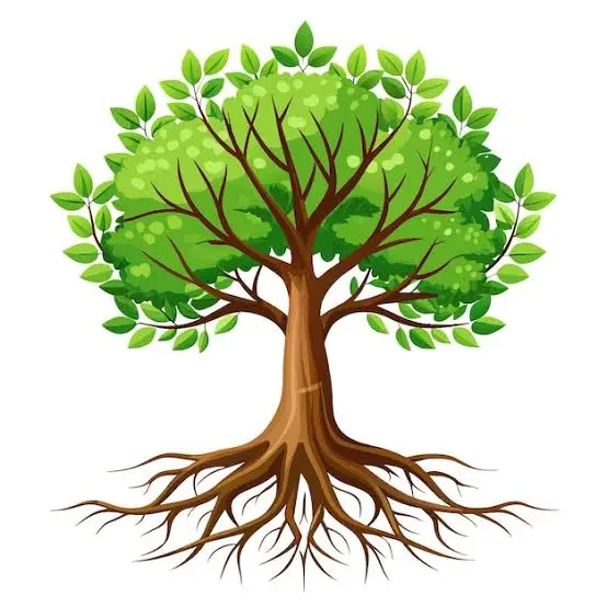 roots.growing-together.es